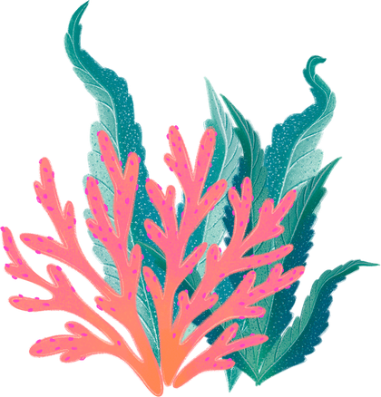 Corals and Sea Plant Illustration